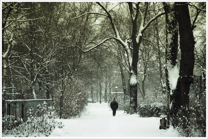 Frío, nieve, invierno