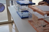 Arranca el proceso de votación en las mesas electorales de Baleares