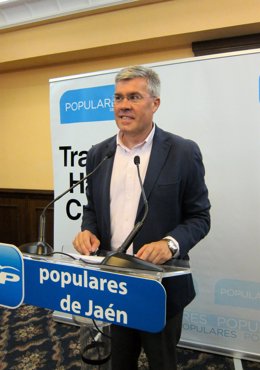 José Enrique Fernández de Moya comparece tras las elecciones.