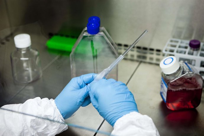 Un proyecto andaluz recibe una mención especial en un congreso sobre oftalmologí