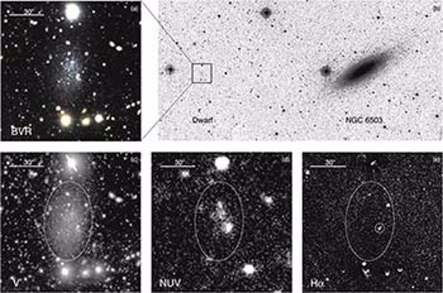 Descubren la punta del iceberg de una evasiva población de galaxias enanas