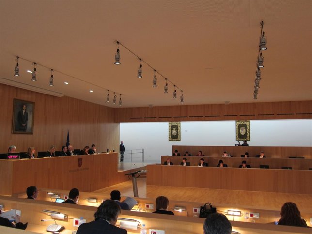 Pleno de la Diputación Provincial  de Málaga