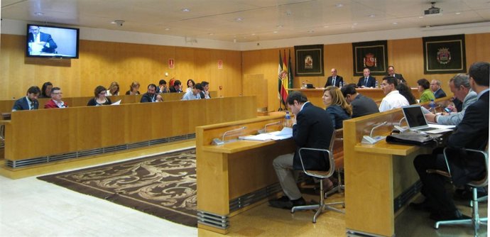 Pleno de la Diputación de Sevilla