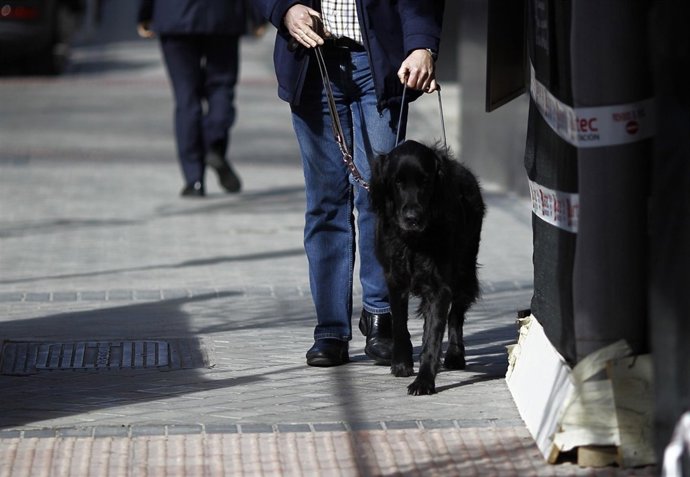 Discapacidad, discapacitado, ciego, personas ciegas con perro guía, lazarillo