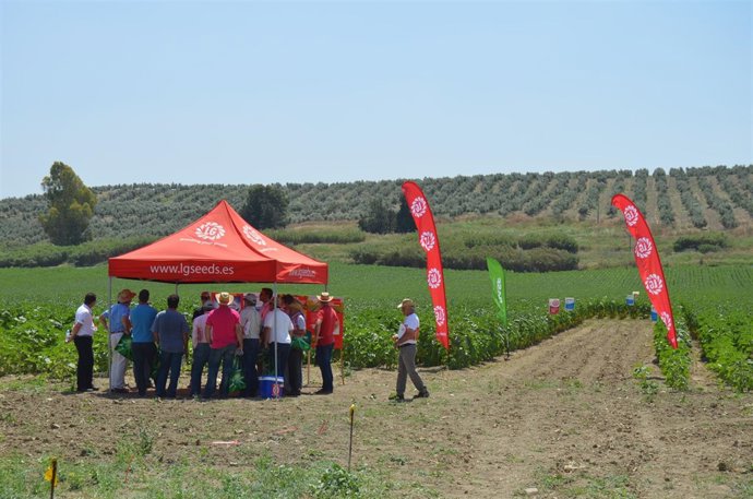 Visita a la plataforma