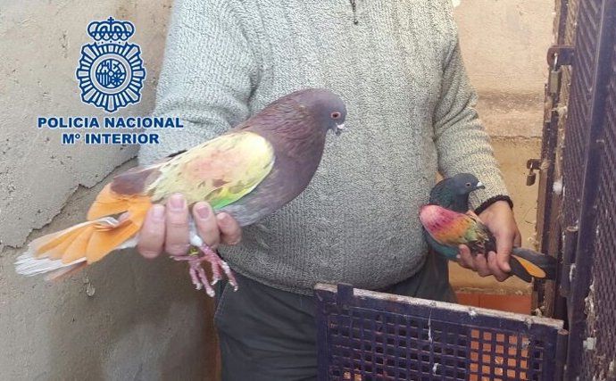 COMISARÍA PROVINCIAL DE CASTELLÓN COMUNICA NOTA DE PRENSA 27.05