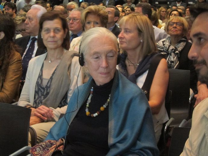Jane Goodall en una conferencia en Barcelona