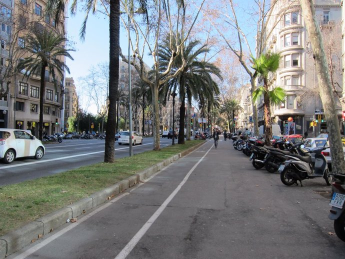 Un Carril Bici En La Avenida Diagonal De Barcelona