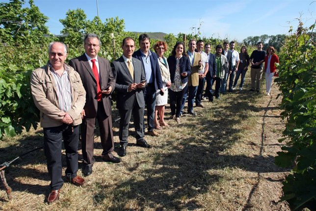 Aplicación Vitisflower de la UR