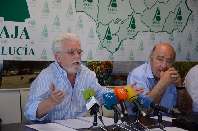 Ricardo Serra, en rueda de prensa.