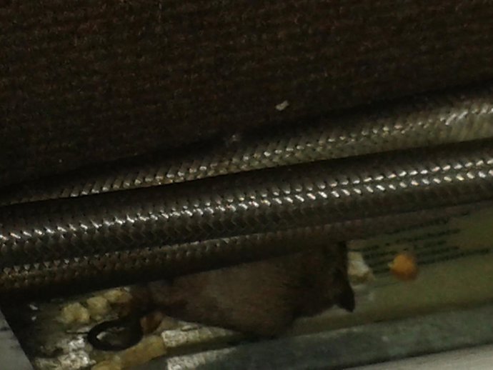 Estado de los juzgados