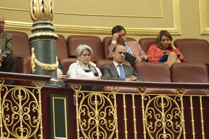 La vicepresidenta de Navarra, Lourdes Goicoechea en el Congreso