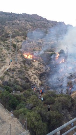 Incendio agrícola en Alhama