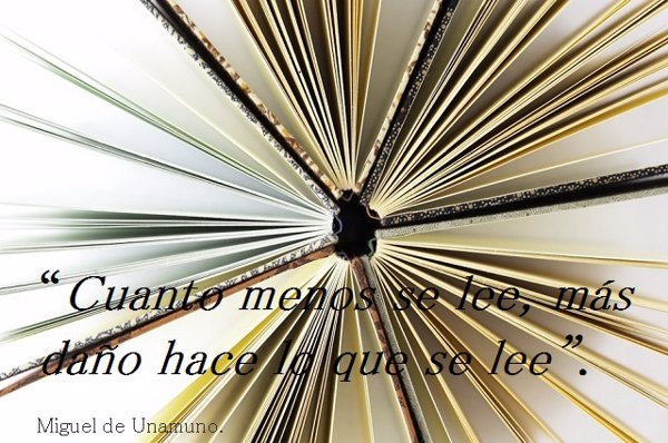 10 frases célebres que invitan a la reflexión para celebrar la Feria del  Libro