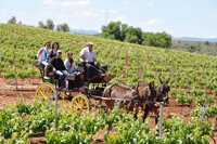 La Ruta Ribera del Guadiana, en una guía entre las accesibles de España