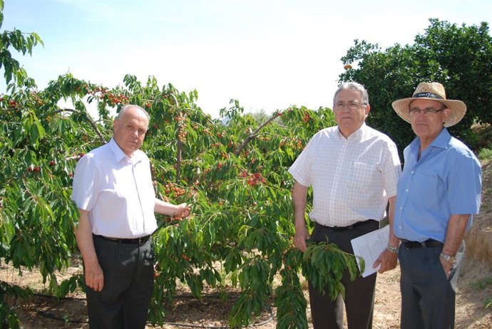 Lidón, Frutos y Martínez