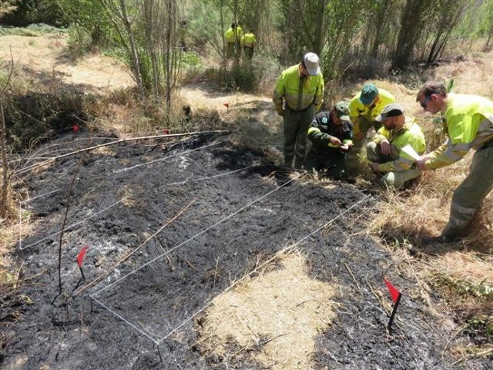 Agentes forestales participando en las sesiones del curso en Aragón