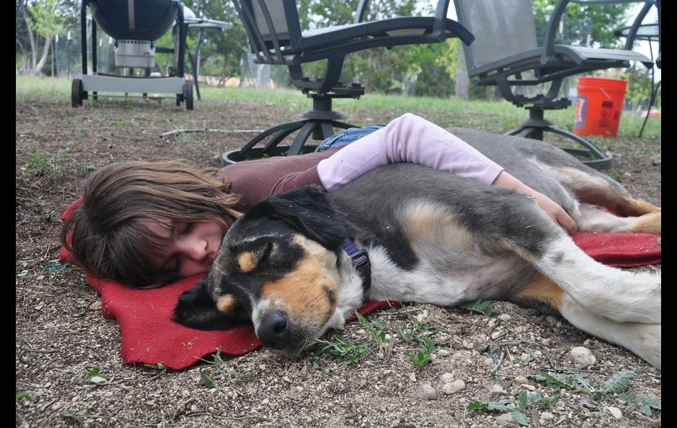 Foto: CREATIVE COMMONS (PIXABAY)