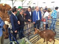 La feria comarcal Sabor a Málaga de Antequera espera 25.000 visitantes este fin de semana