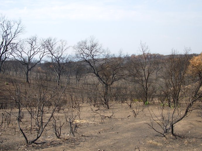 Campo de tiro de Cerro Muriano