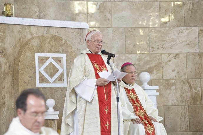 El cardenal Cañizares en una homilía