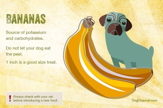 Frutas que los perros pueden comer