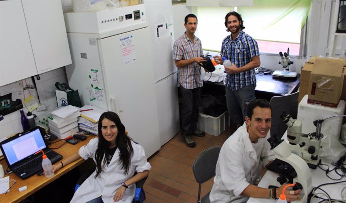 Ensayos en laboratorio de investigadores de la Universidad de Sevilla (US)