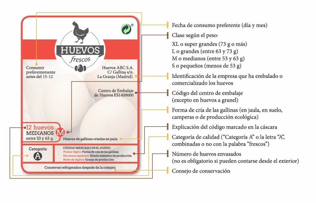 Aprende A Leer El Etiquetado De Los Huevos De La UE