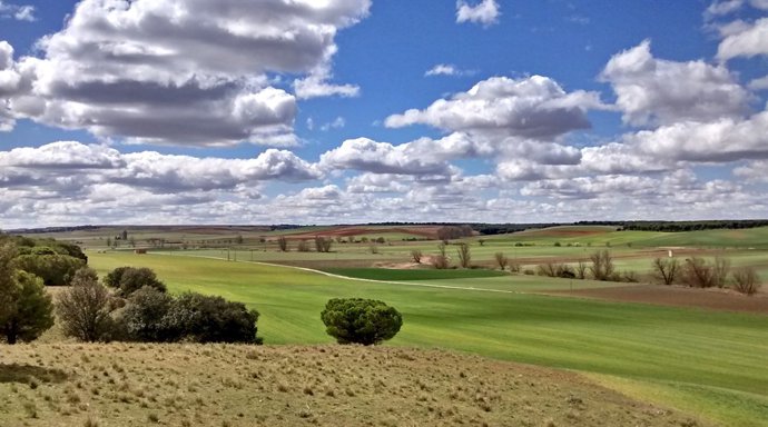 Ruta del Vino de Rueda