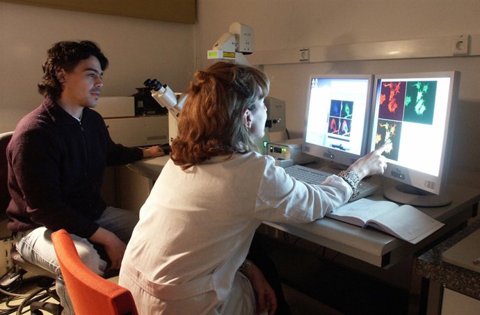 Investigación en Medicina