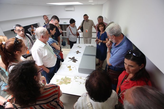 Imagen de una visita guiada