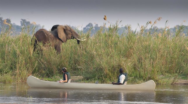 Safari en África