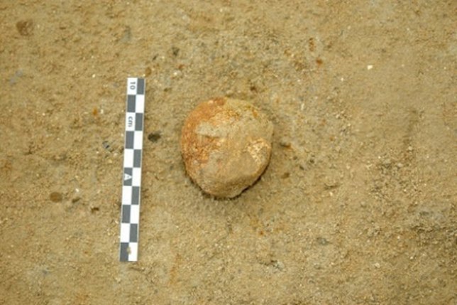 Hallan una letrina de hiena