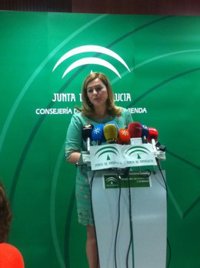 Junta "respeta pero no comparte" auto del TSJA sobre el Algarrobico y señala que no hubo temeridad