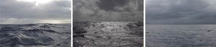 Û Soltad amarras' MNCN