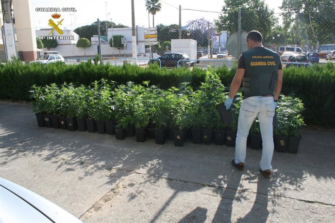 Dos detenidos por tráfico de drogas