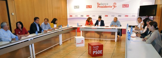 Reunión de parlamentarios socialistas de la Comunidad sobre minería