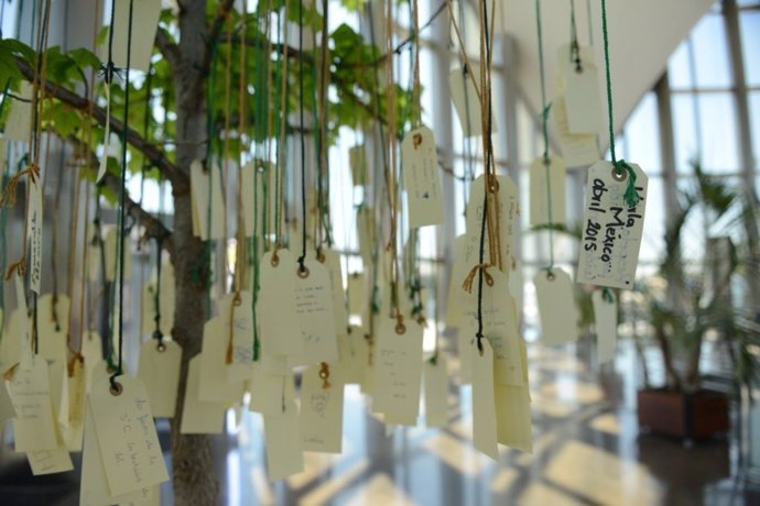Mensajes de los visitantes en el árbol de los 'Ecodeseos'