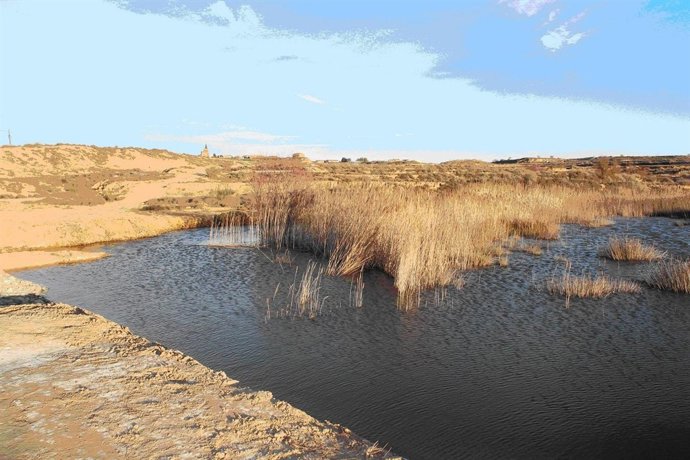 La Comarca de Los Monegros celebra el Día Mundial del Medio Ambiente