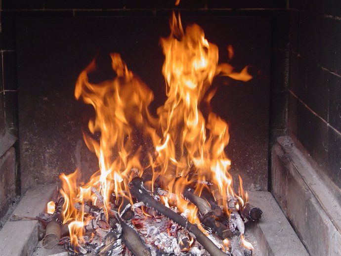 Fuego, barbacoa, hoguera, leña