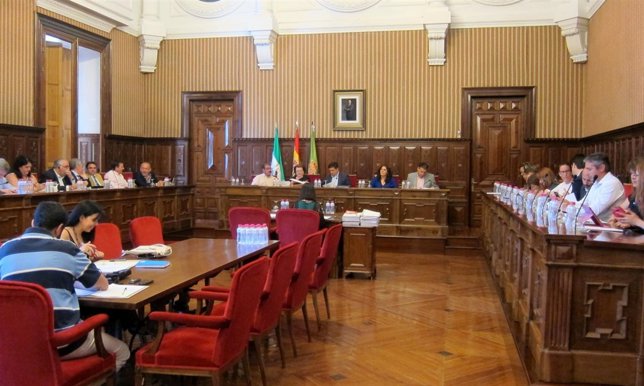 Pleno de la Diputación de Jaén.