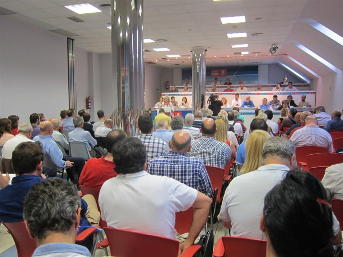 Eva Díaz Tezanos en el Comité Regional del PSOE cántabro