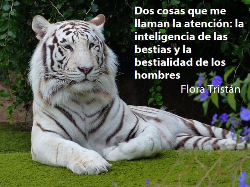 10 frases para reflexionar con niños sobre el medio ambiente