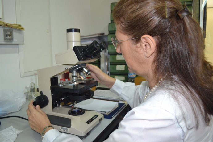 Medición de los niveles registrados de polen en Cartagena