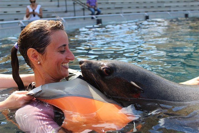 Baño con osos marinos en Faunia