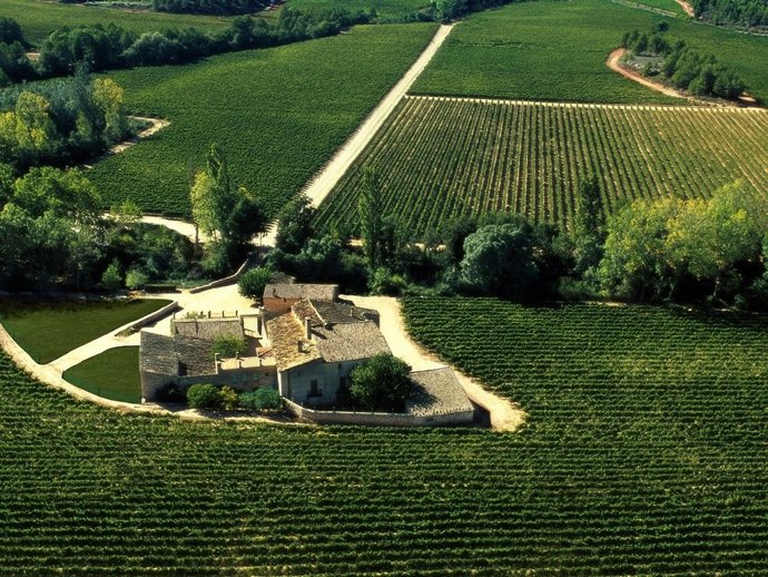 Finca Fransola de Bodegas Torres