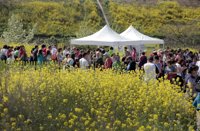 La séptima edición de los Paseos Saludables concluye este domingo