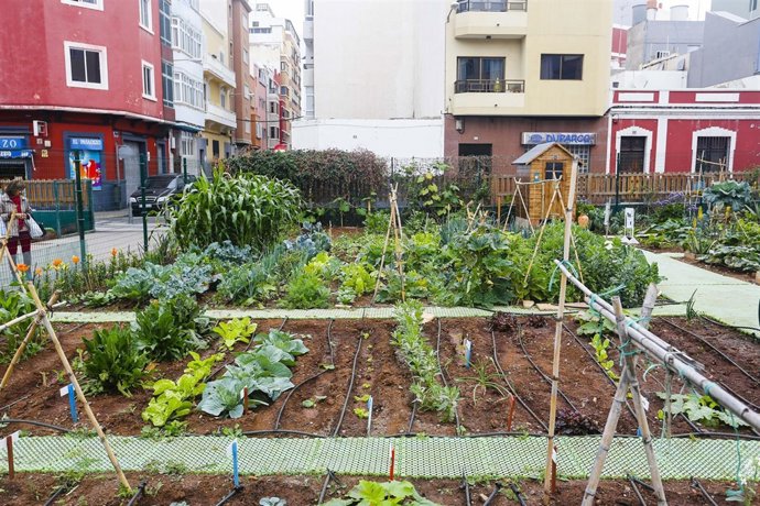 Uno de los huertos municipales de Las Palmas de Gran Canaria