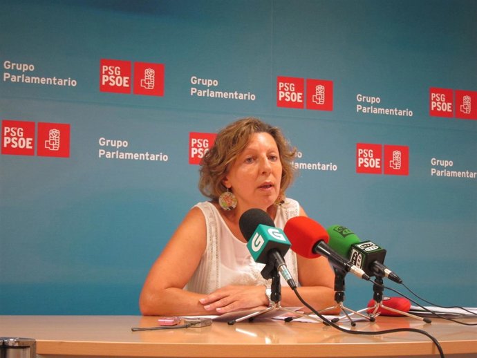 Carmen Gallego en rueda de prensa