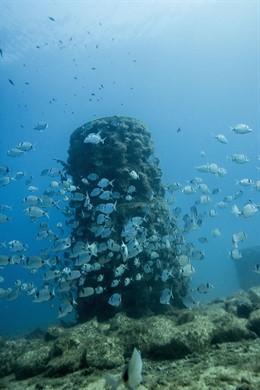 Instalan en Torredembarra y Altafulla dos parques de biotopos artificiales
